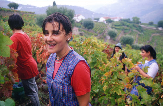 autor: José Gonçalves
t&iacute;tulo: Douro 6