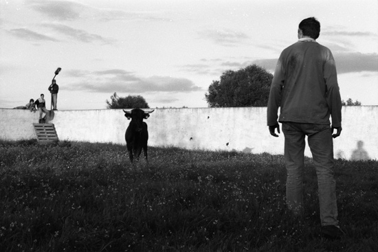 autor : paulo rodrigues                    