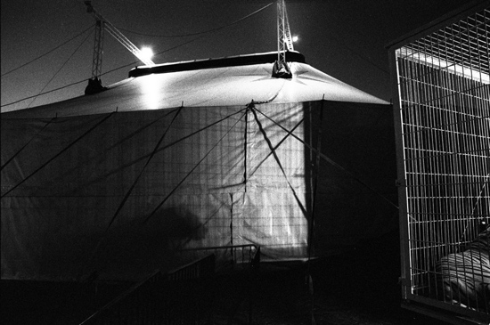 author: paulo rodrigues