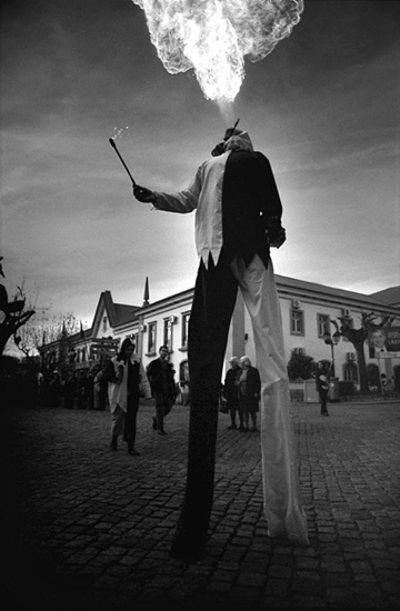 author: Manuel Luís Cochofel