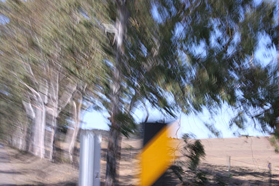 autor: Sofia Quintas