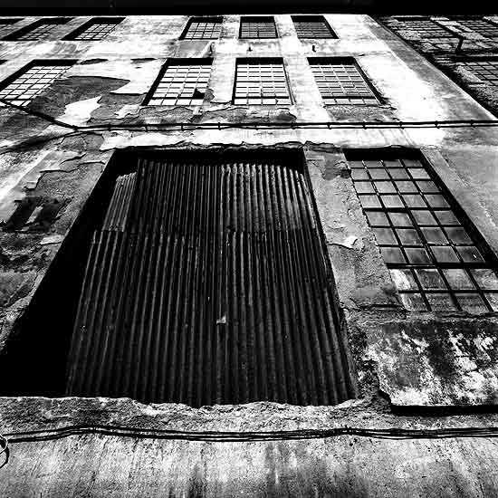 autor: Catarina Costa Cabral