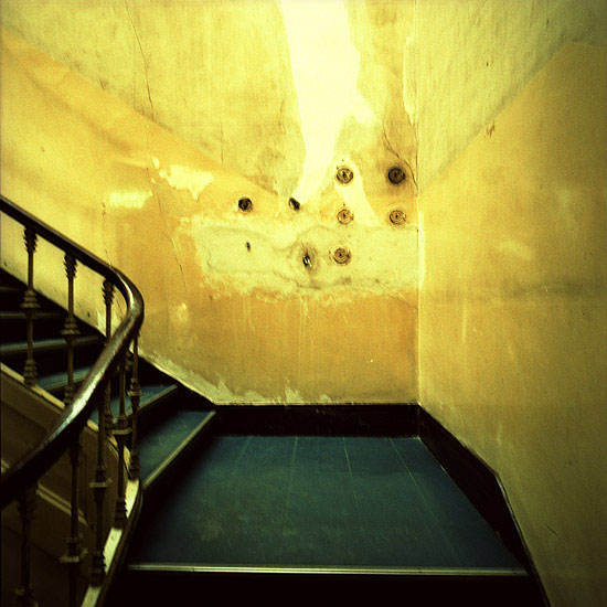 auteur : Catarina Costa Cabral                    