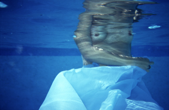 autor: Casimira Matos