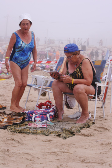 author : Sofia Quintas                    