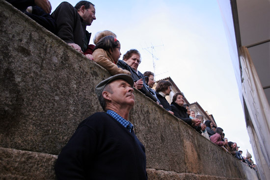 auteur: Sofia Quintas