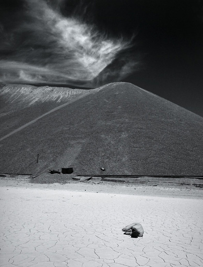 autor: Manuel Luís Cochofel