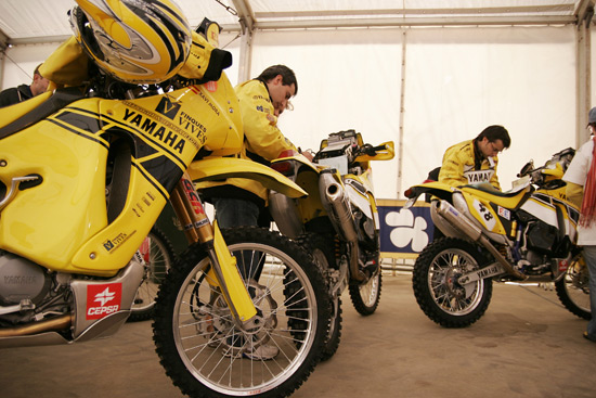 autor: Sofia Quintas