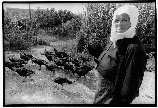 autor : Yves Rousselet                    t&iacute;tulo: sur la route de Grabjan été 2004
