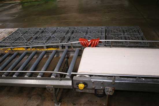 autor: Sofia Quintas