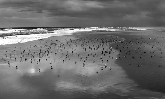 autor: Ricardo Tavares