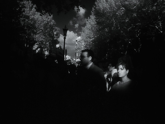 autor: Manuel Luís Cochofel