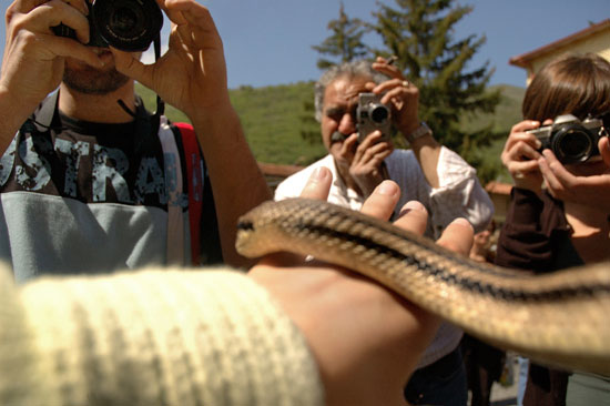 auteur: Patricia Moreira