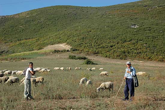 autor: Yves Rousselet
t&iacute;tulo: Sérénité des bergers, scène souvent rencontrèe