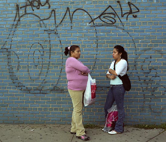 autor : Manuel Luís Cochofel                    