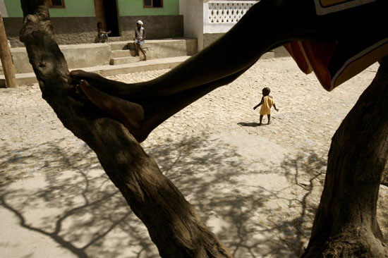 autor: Luis Filipe Catarino