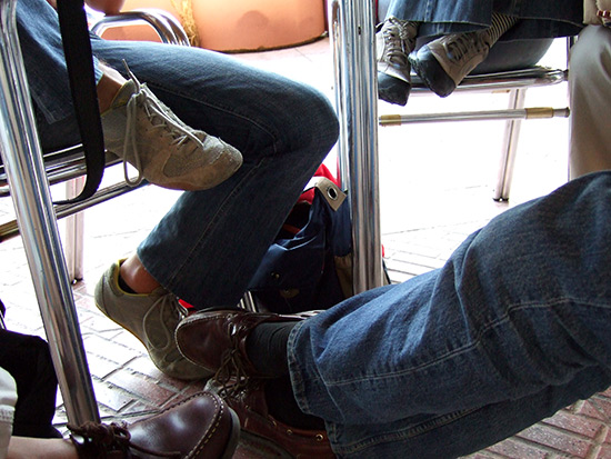 autor : paulo rodrigues                    t&iacute;tulo: o emaranhado