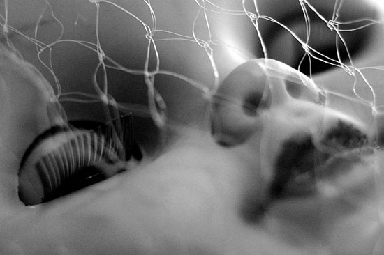 author : Pedro Vilela                    