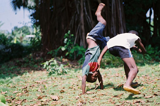 autor: Tânia Araújo