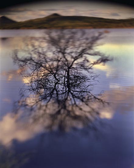 autor: Cláudio Edinger