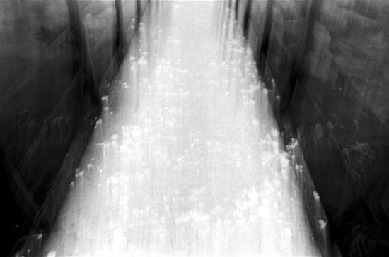 autor: Natasha Gudermane