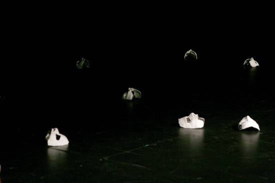 autor: Sofia Quintas