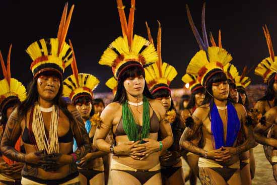 autor : Tatiana Cardeal                    