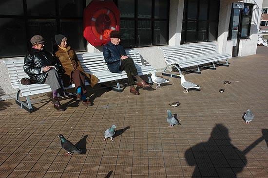 author : Yves Rousselet                    title: Un moment de repos ... conversation muette avec les oiseaux