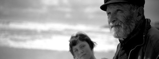 autor: Luísa Ferreira