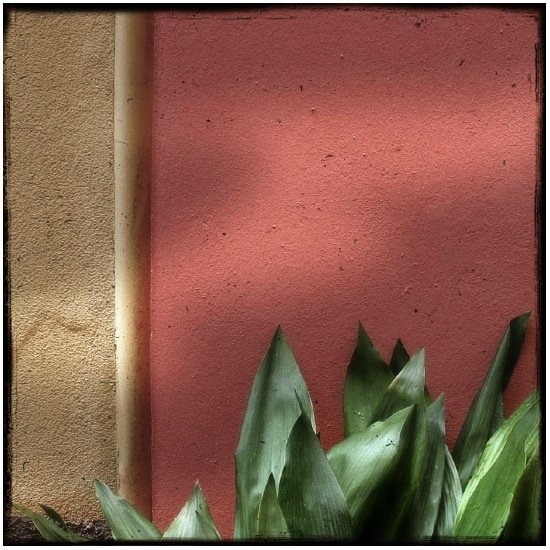 autor: Raoul Iacometti
t&iacute;tulo: Floreal Beauty