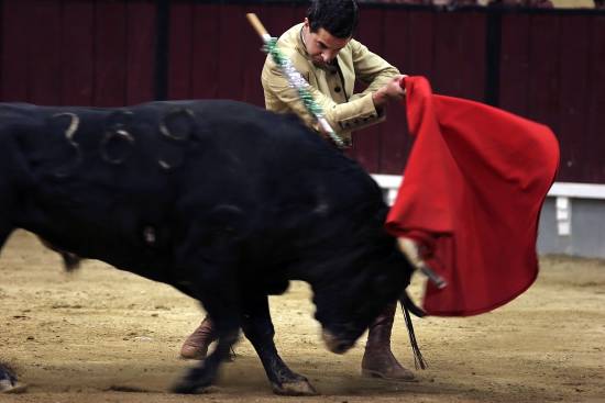 autor: Sofia Quintas