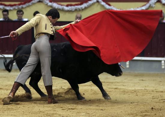 autor: Sofia Quintas