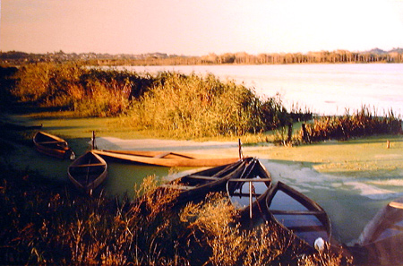 autor: João Varela
t&iacute;tulo: Quando morreu o vento e a calma pasce...