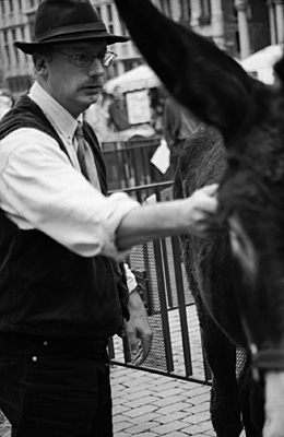 autor: paulo rodrigues