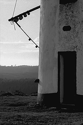 autor: Sofia Quintas