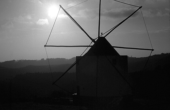 autor: Sofia Quintas