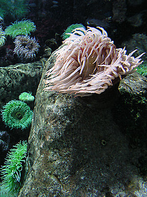 autor: Sofia Quintas