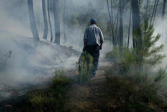 autor: João  Carvalho Pina