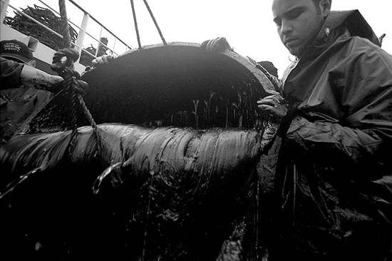 autor: João  Carvalho Pina