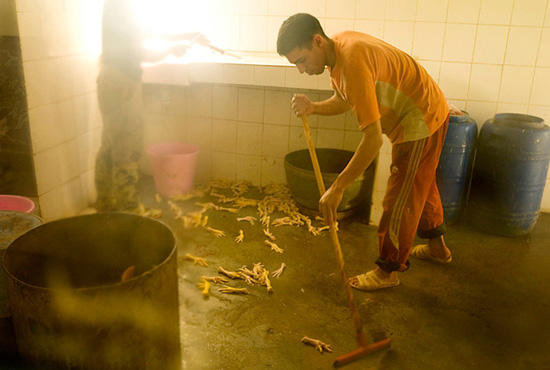 autor: Stefan Rohner