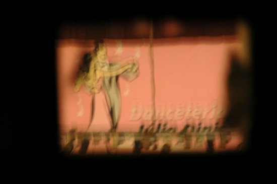 autor: Ana Pereira
t&iacute;tulo: Júlio Diniz