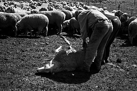 autor: Sofia Quintas