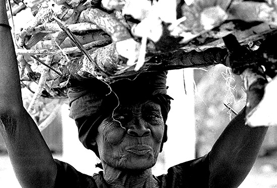 autor: José Silva Pinto
t&iacute;tulo: Mama Velha...