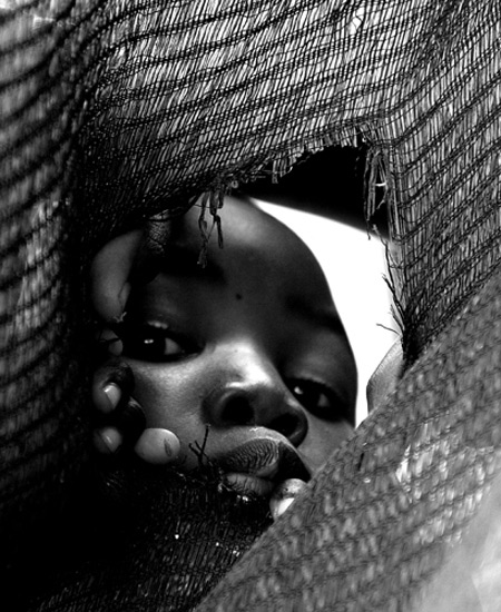 autor: José Silva Pinto
t&iacute;tulo: Espreitadela...