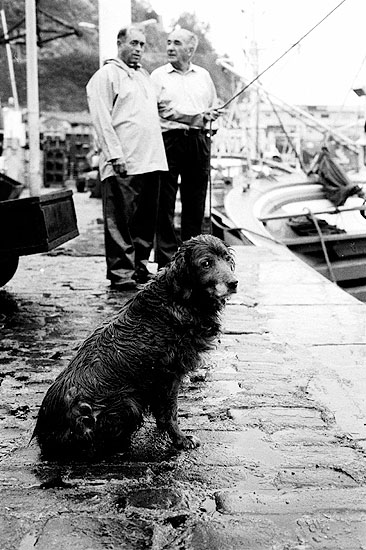 autor: Txomin  Txueka