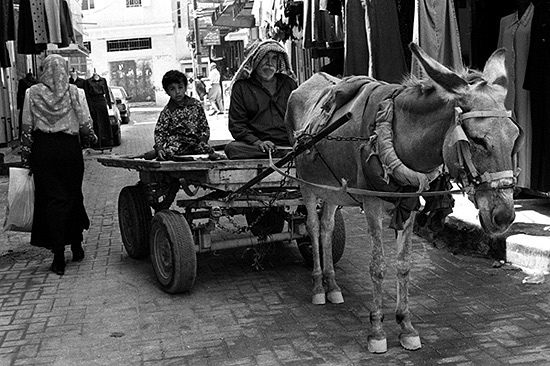 autor: Txomin  Txueka