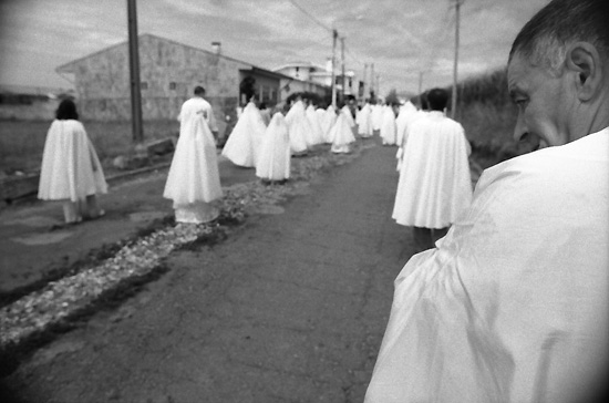 autor: Manuel Luís Cochofel