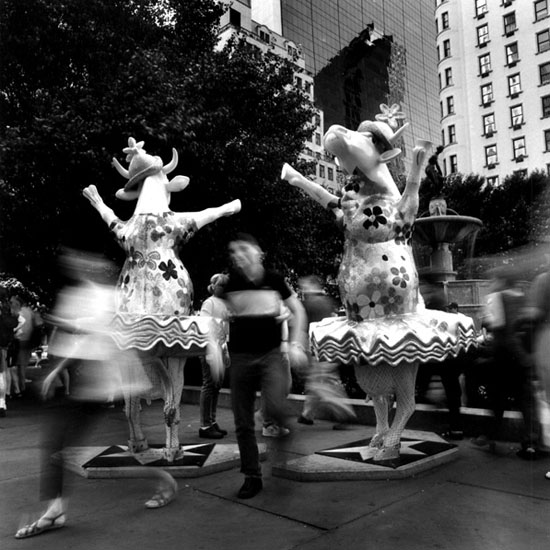 author: Cláudio Edinger
title: Fifth Avenue