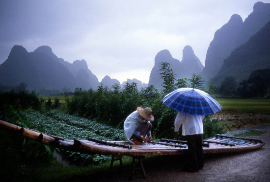 autor: Pedro Guimarães