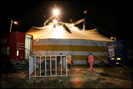 author: Joost De Raeymaeker